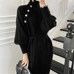 Priya | Women's Long Sleeve Turtleneck Sweater Dress