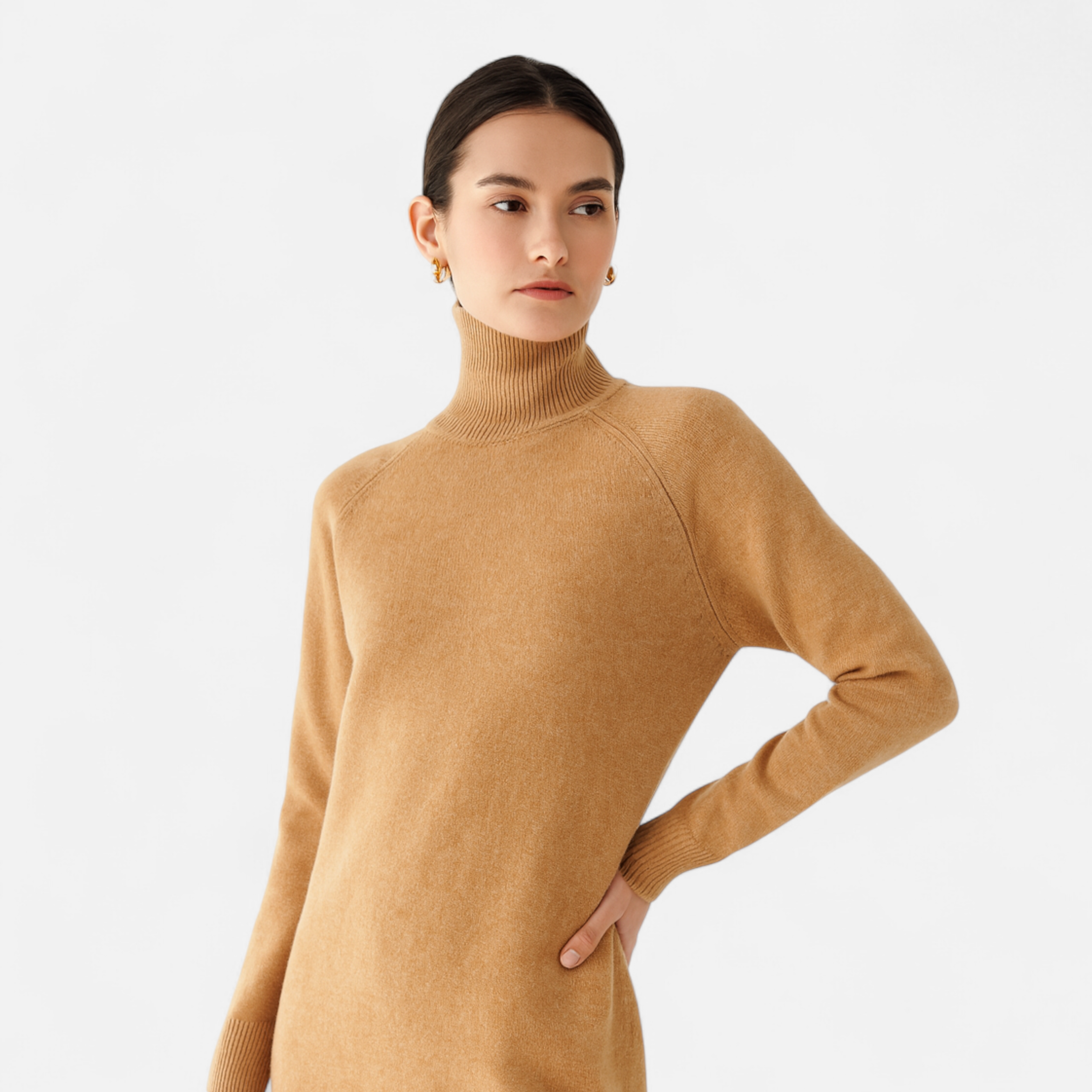 Liora | Women's Turtle Neck Sweater
